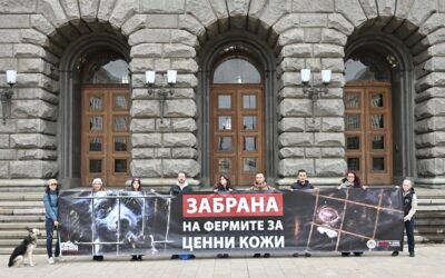 Парламентът единодушно подкрепи на първо четене забраната на фермите за кожи