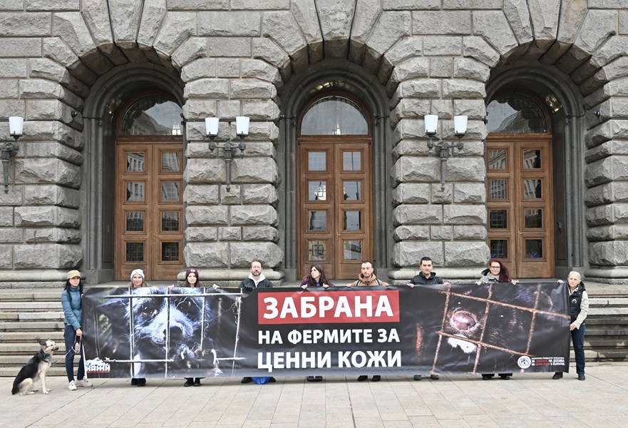 Парламентът единодушно подкрепи на първо четене забраната на фермите за кожи